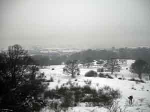 Snow On Aylesbury Vale 23rd December 2009